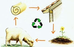 Wool Lifecycle