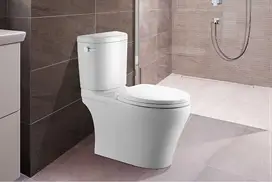 caroma_toilet